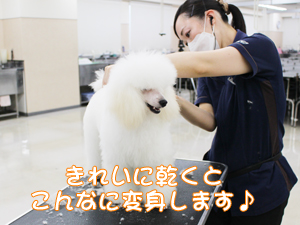 ２年生に向けて！先生の試技会♪②